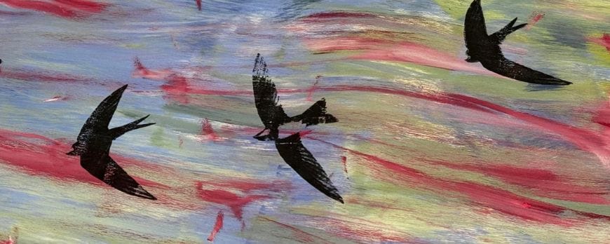 Students pledge their support for RSPB Swift Academy